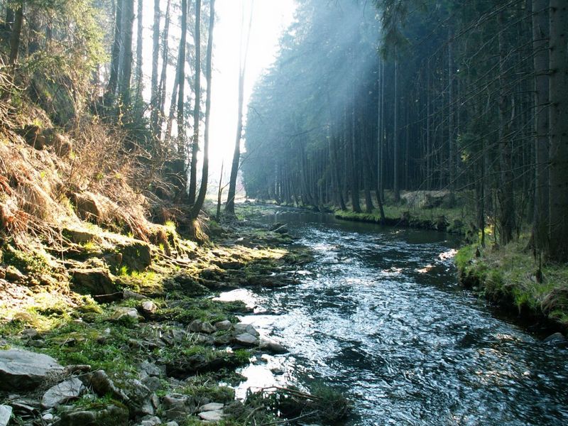 Kliknutím na obrázek se okno zavře